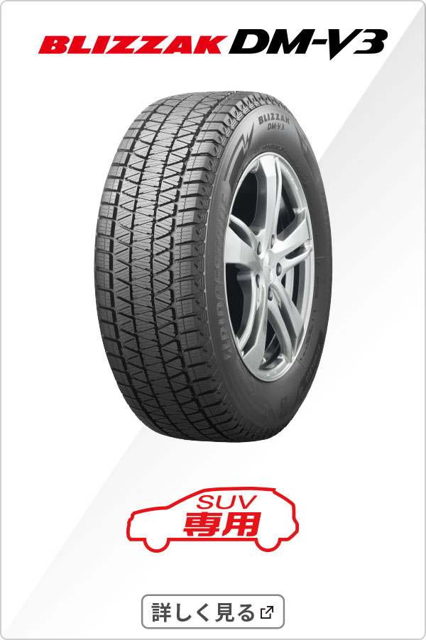 BLIZZAK DM-V3